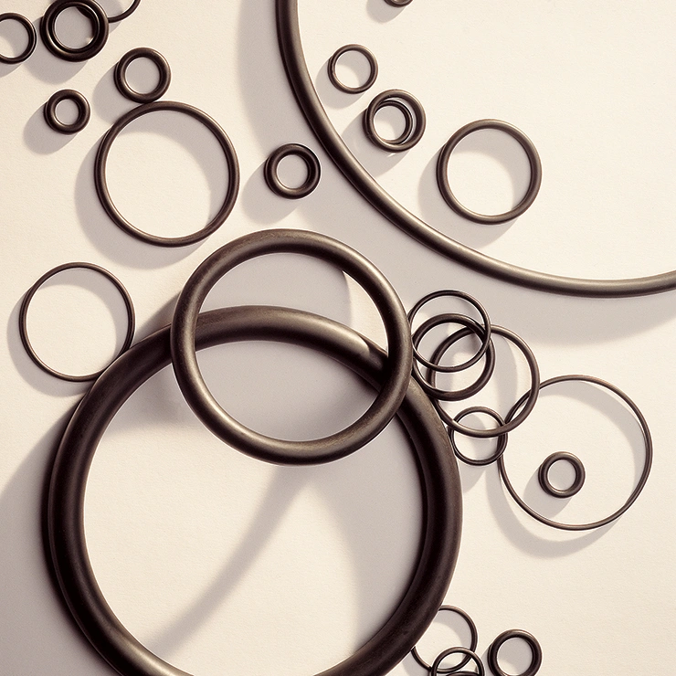 O-rings per industria biomedicale