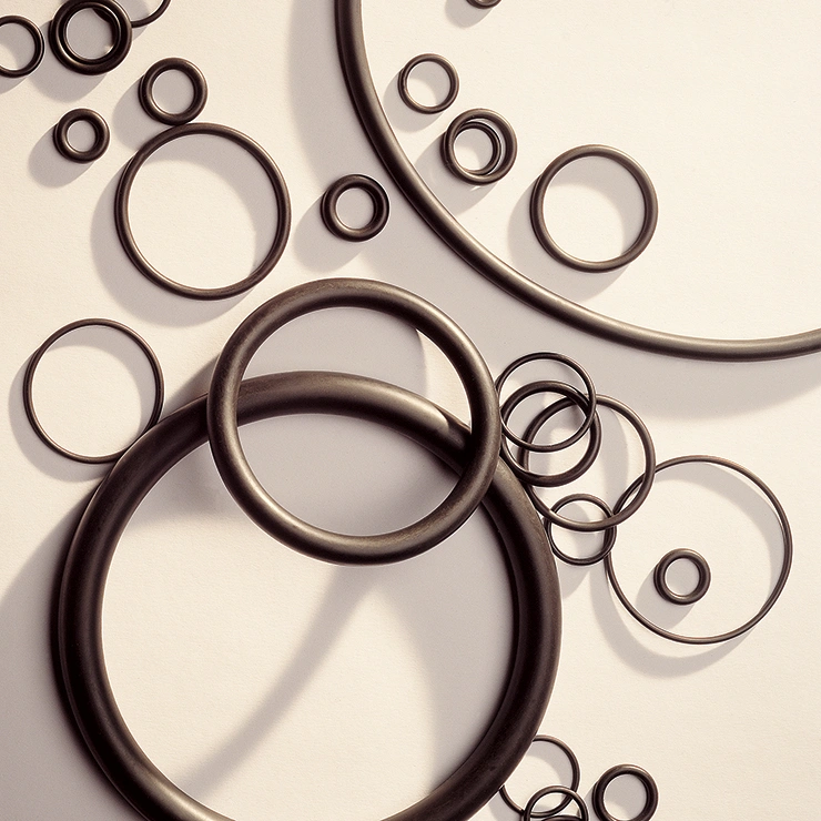 O-rings per tenuta del vuoto